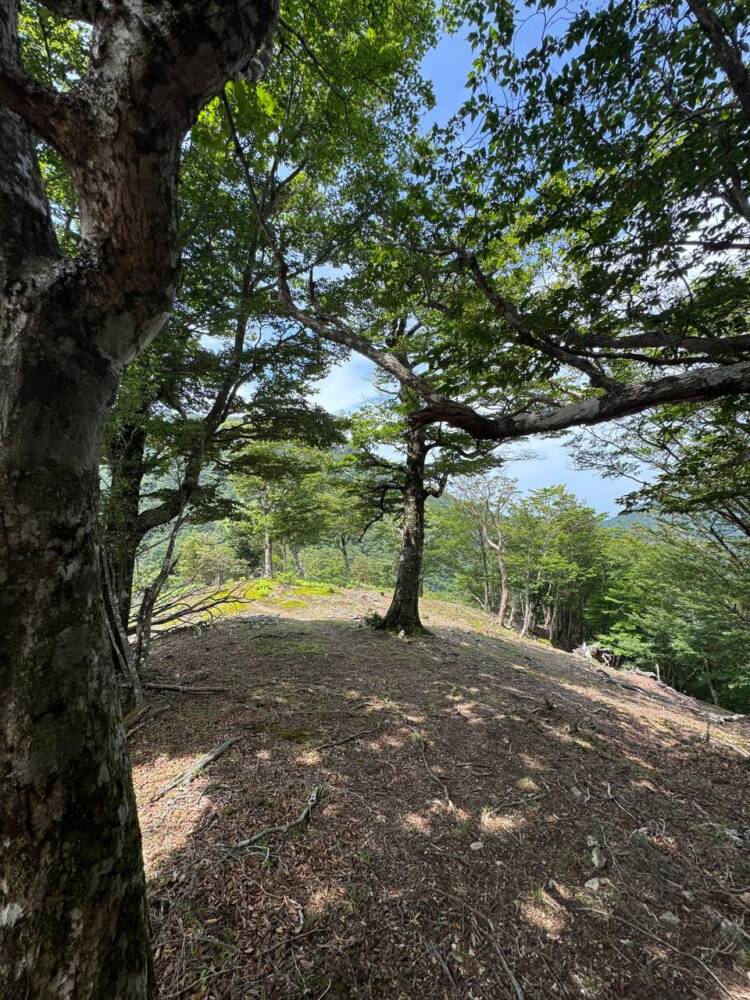 大峯山脈の山深い地にある数々の伝承が残る山 『笠捨山』