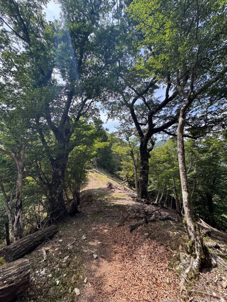 大峯山脈の山深い地にある数々の伝承が残る山 『笠捨山』