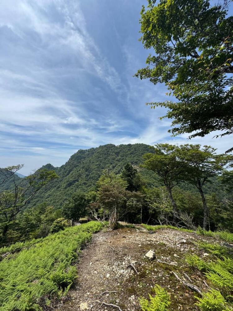 大峯山脈の山深い地にある数々の伝承が残る山 『笠捨山』