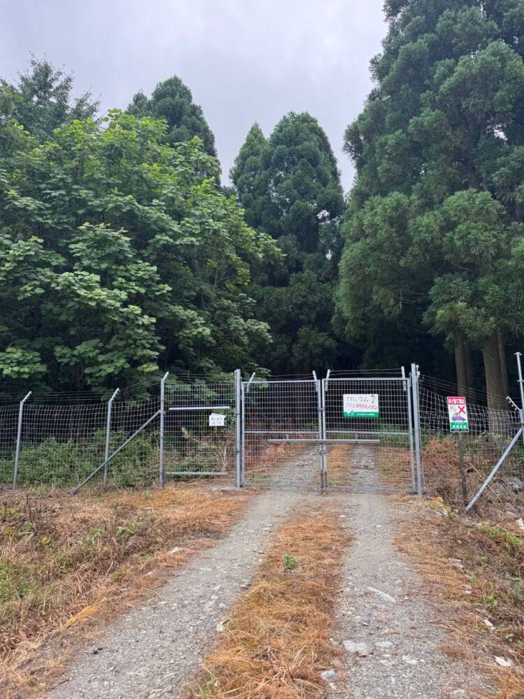 登りやすく地元に愛された今でも自然が残る山 『三十三間山』