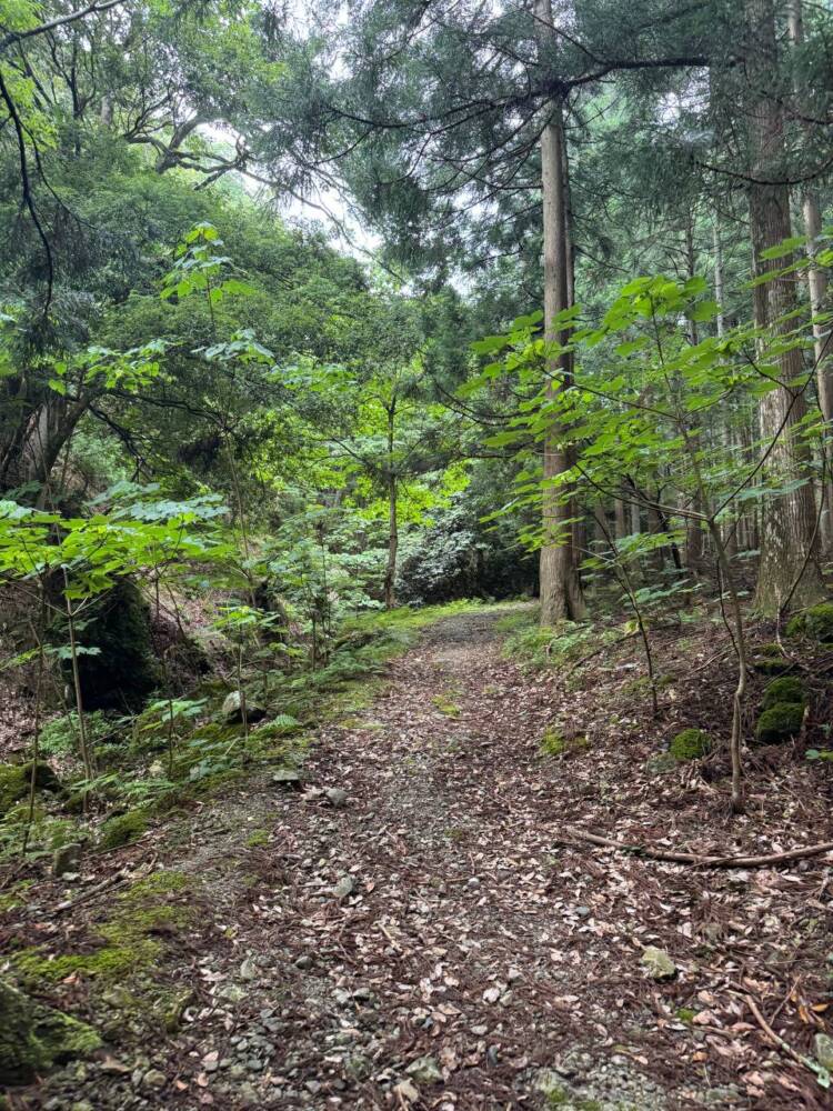 登りやすく地元に愛された今でも自然が残る山 『三十三間山』