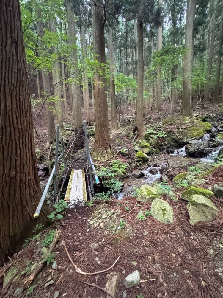 登りやすく地元に愛された今でも自然が残る山 『三十三間山』