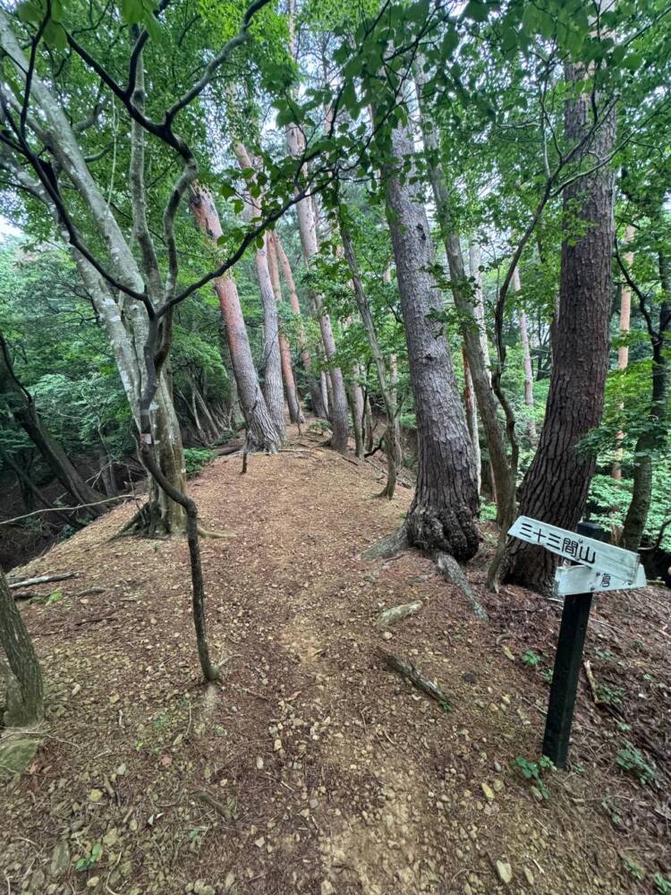 登りやすく地元に愛された今でも自然が残る山 『三十三間山』