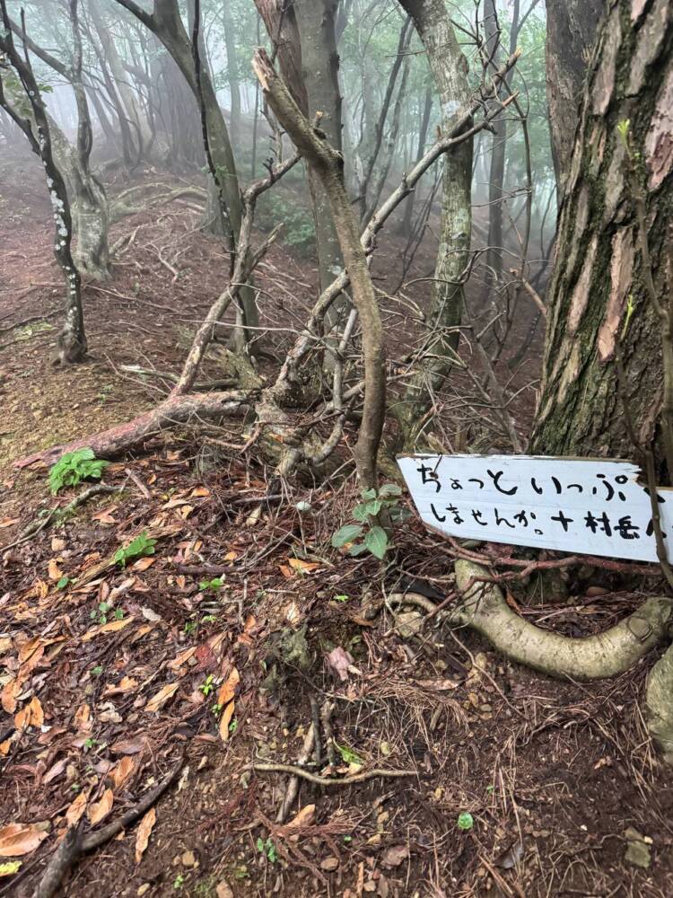 登りやすく地元に愛された今でも自然が残る山 『三十三間山』
