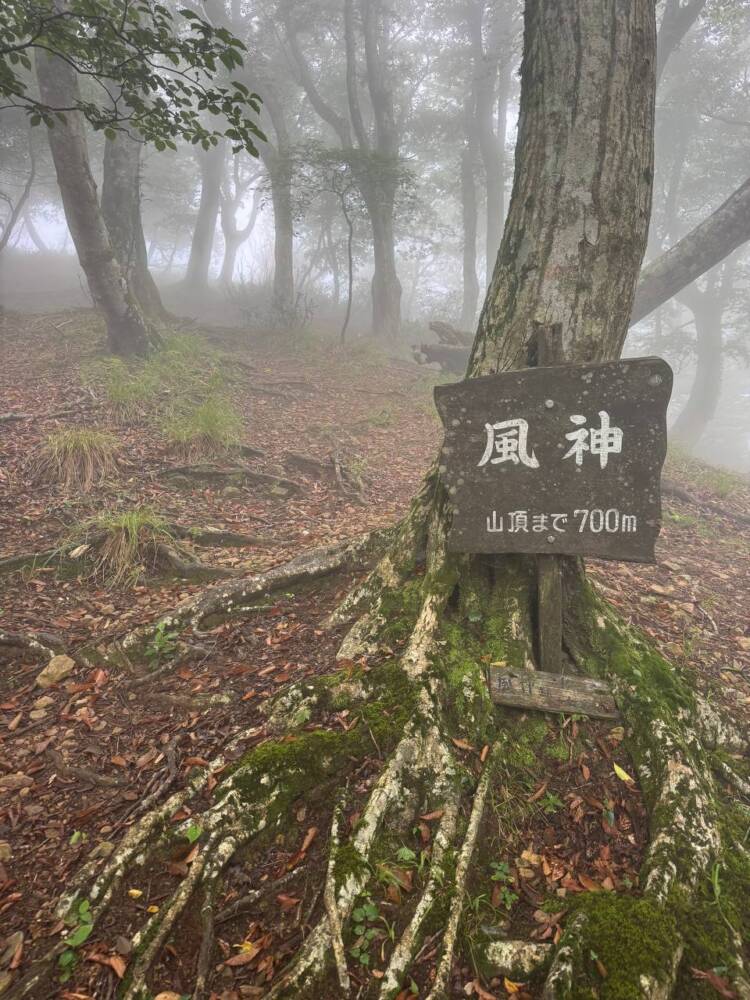 登りやすく地元に愛された今でも自然が残る山 『三十三間山』
