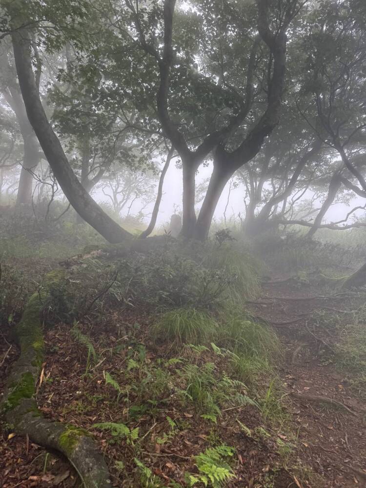 登りやすく地元に愛された今でも自然が残る山 『三十三間山』