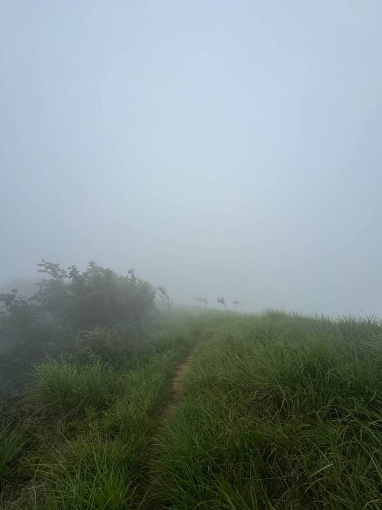 登りやすく地元に愛された今でも自然が残る山 『三十三間山』