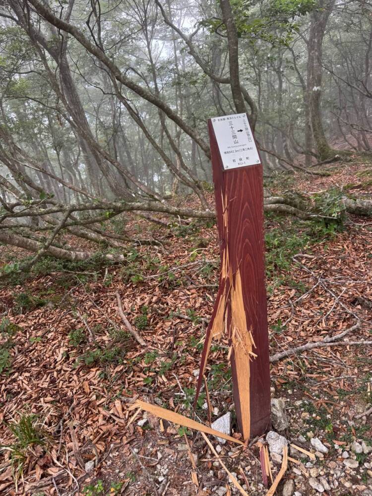 登りやすく地元に愛された今でも自然が残る山 『三十三間山』