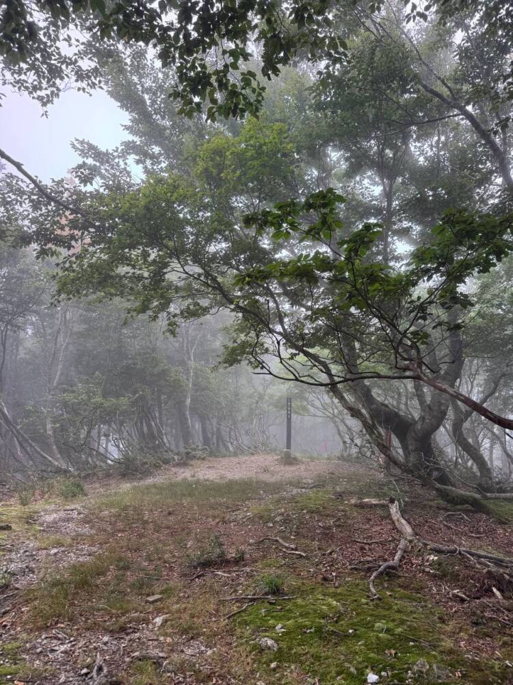 登りやすく地元に愛された今でも自然が残る山 『三十三間山』