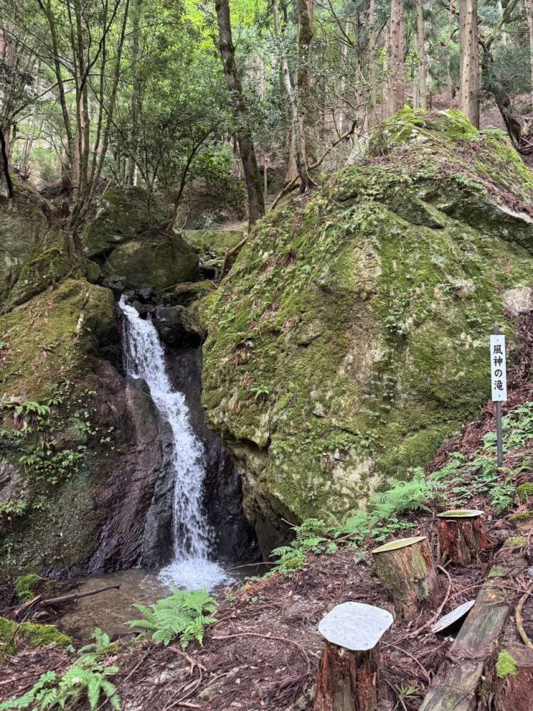 登りやすく地元に愛された今でも自然が残る山 『三十三間山』