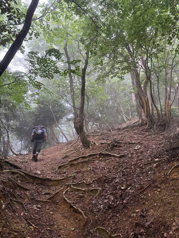 登りやすく地元に愛された今でも自然が残る山 『三十三間山』