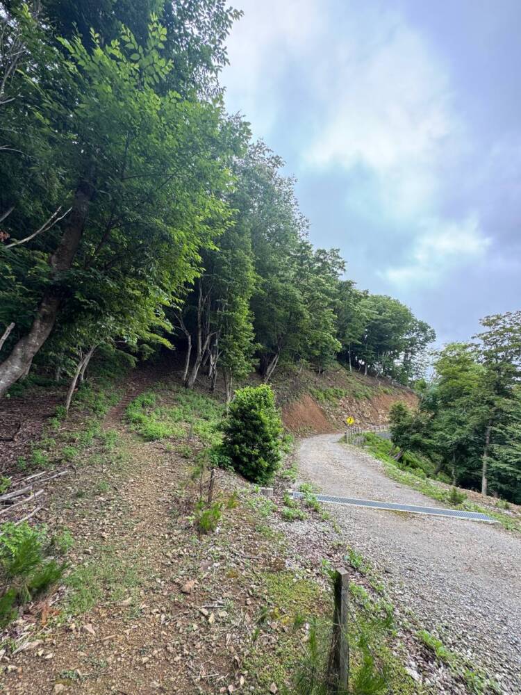 かつては密教の聖山として栄えた丹波高地の山 『長老ヶ岳』