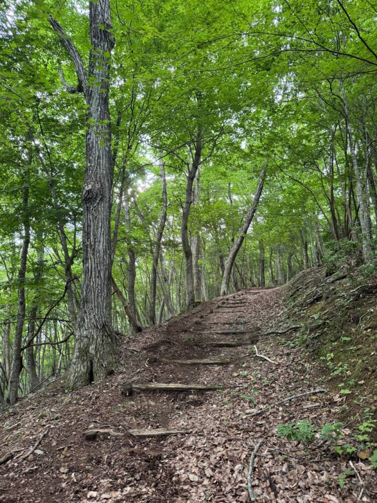 かつては密教の聖山として栄えた丹波高地の山 『長老ヶ岳』