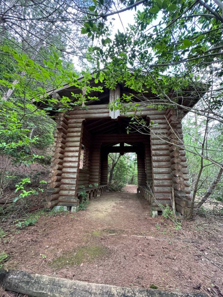 かつては密教の聖山として栄えた丹波高地の山 『長老ヶ岳』