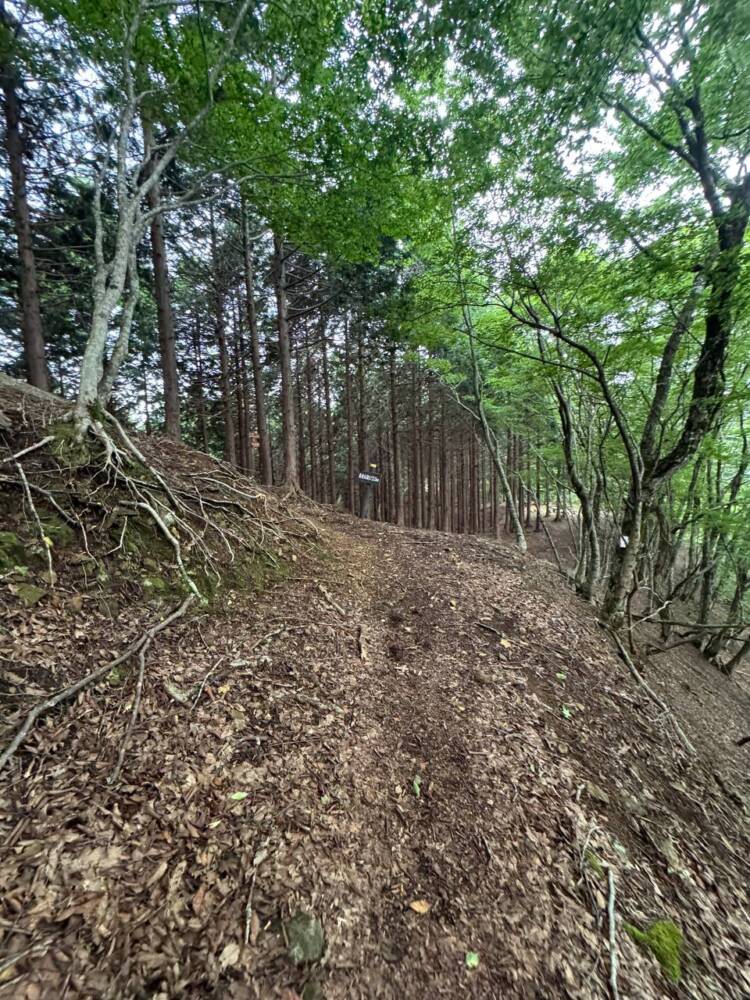 かつては密教の聖山として栄えた丹波高地の山 『長老ヶ岳』