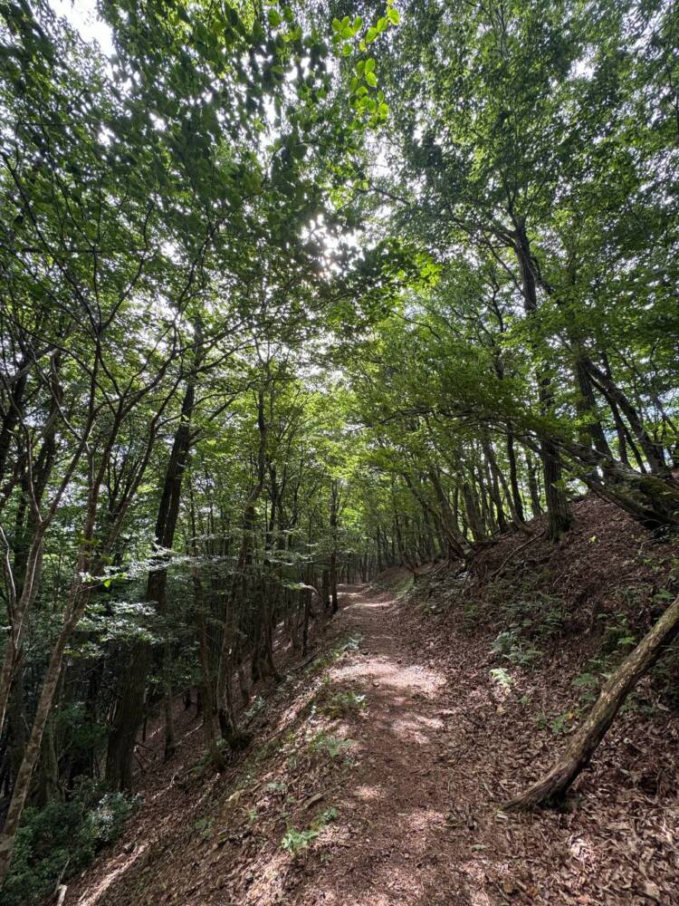 かつては密教の聖山として栄えた丹波高地の山 『長老ヶ岳』