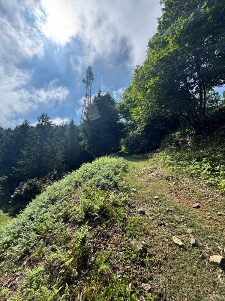 かつては密教の聖山として栄えた丹波高地の山 『長老ヶ岳』