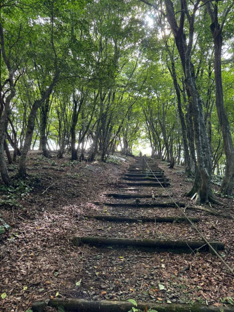 かつては密教の聖山として栄えた丹波高地の山 『長老ヶ岳』