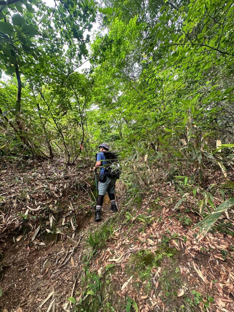 手つかずの大自然が残る山深く静かな山 『金糞岳』