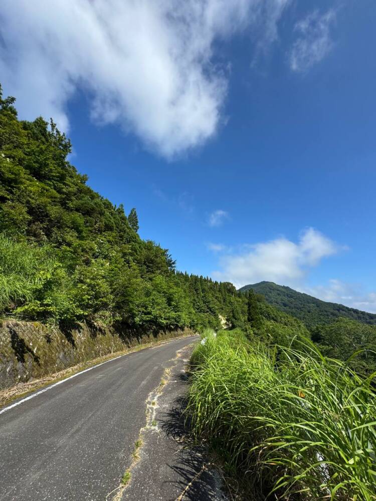手つかずの大自然が残る山深く静かな山 『金糞岳』