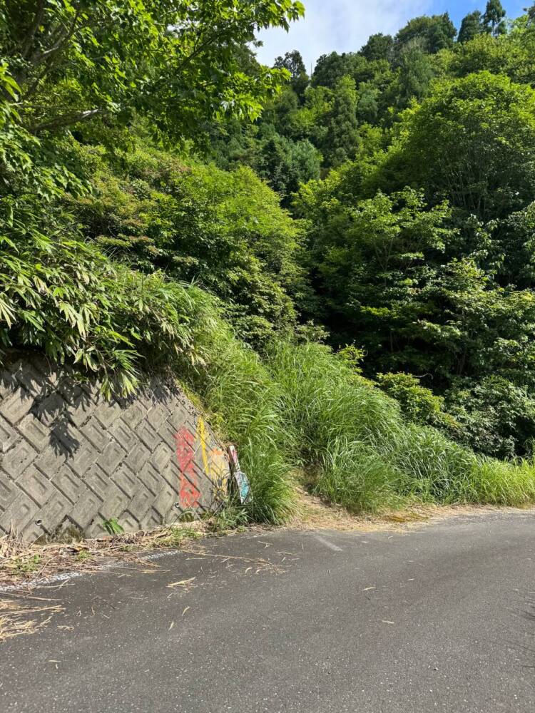 手つかずの大自然が残る山深く静かな山 『金糞岳』
