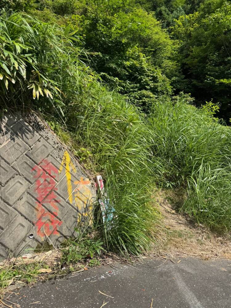 手つかずの大自然が残る山深く静かな山 『金糞岳』
