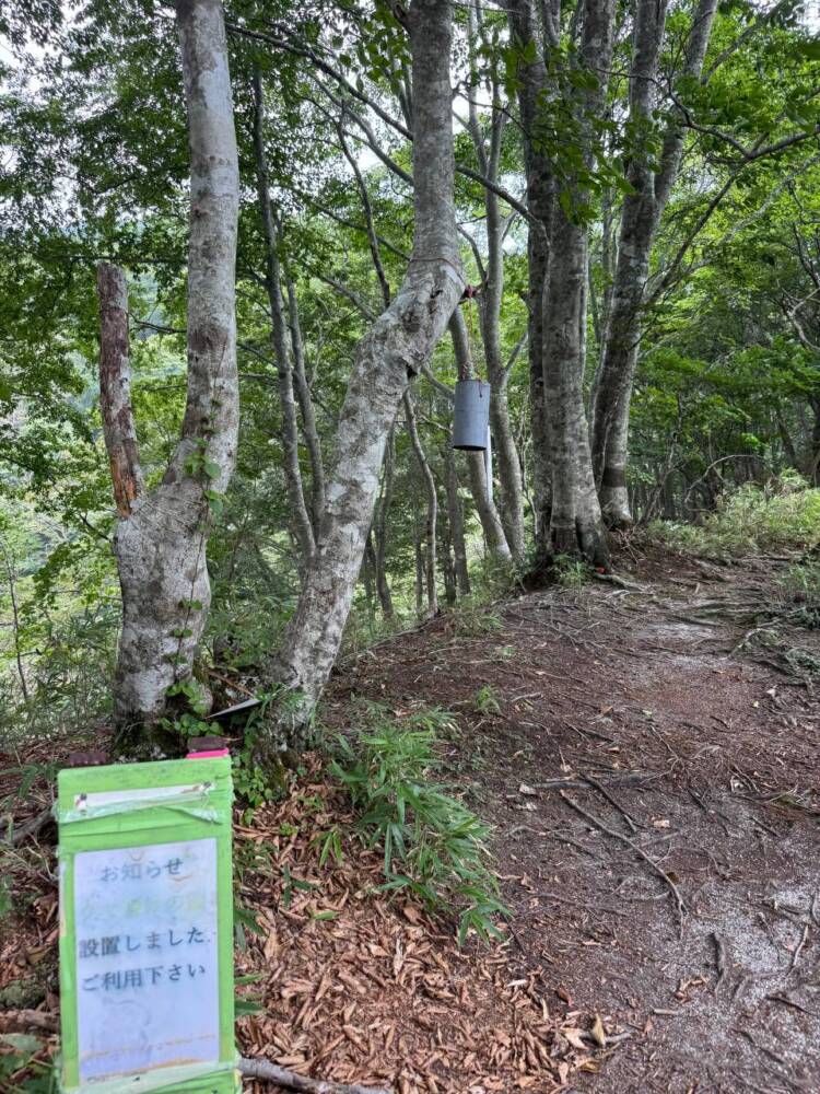 手つかずの大自然が残る山深く静かな山 『金糞岳』