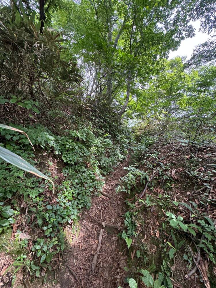手つかずの大自然が残る山深く静かな山 『金糞岳』