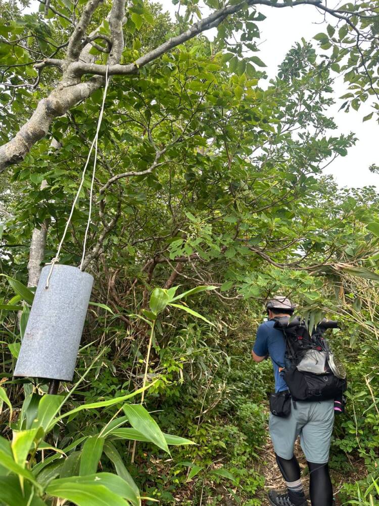 手つかずの大自然が残る山深く静かな山 『金糞岳』