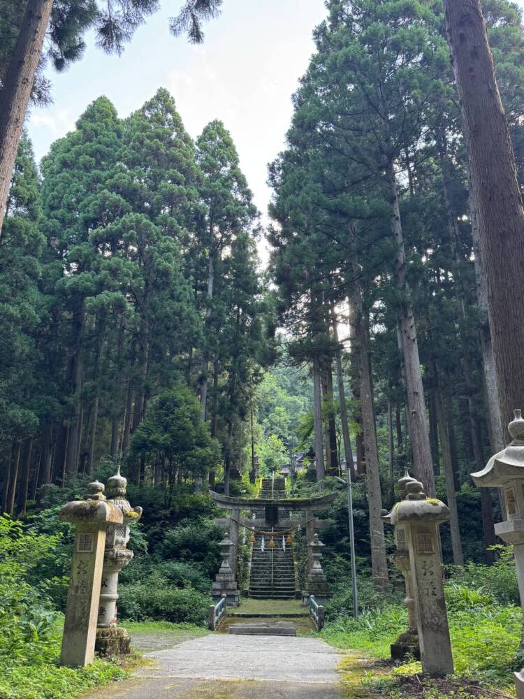手つかずの大自然が残る山深く静かな山 『金糞岳』