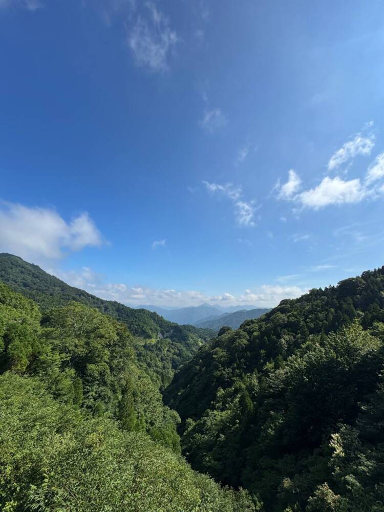 手つかずの大自然が残る山深く静かな山 『金糞岳』