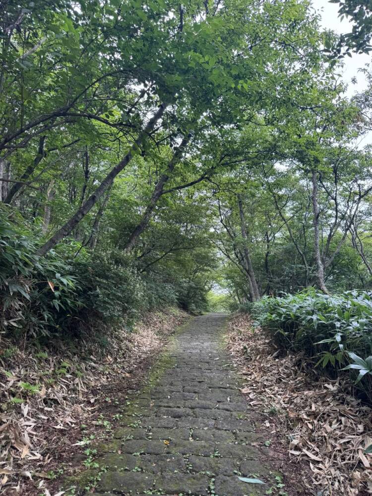 火山や美しい稜線、ロープウェイでお手軽登山もできる『茶臼岳』