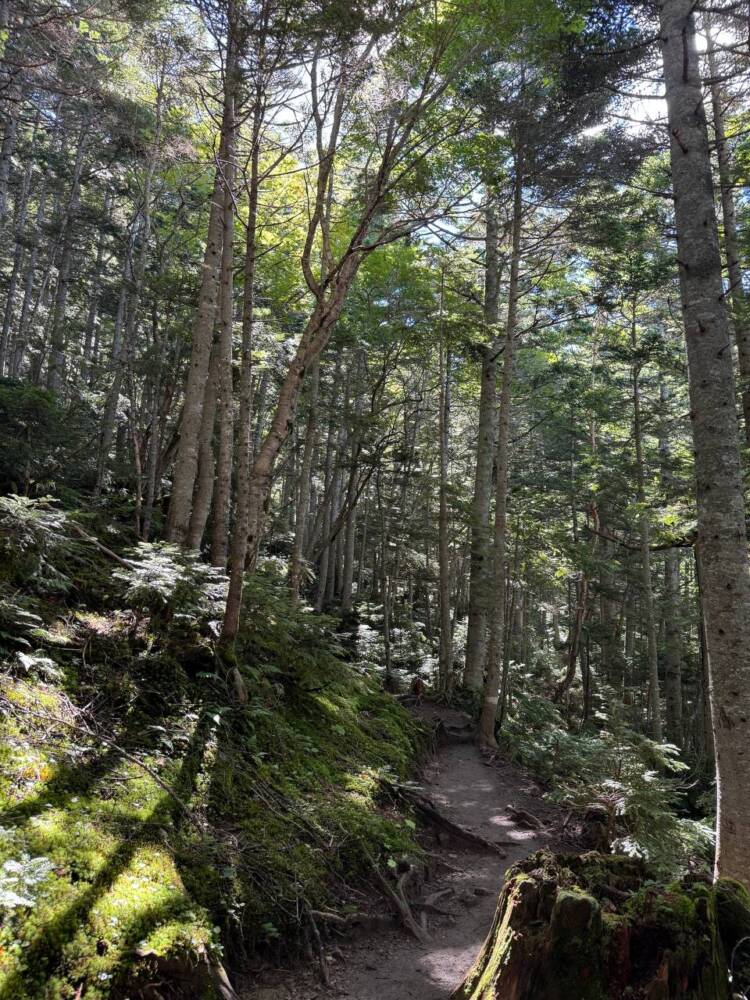 山頂からの眺めは360度絶景で山や湖沼の景色が広がる『日光白根山』