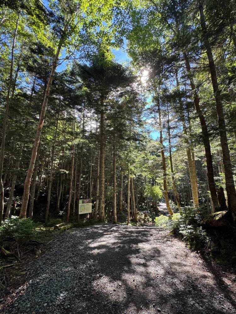 山頂からの眺めは360度絶景で山や湖沼の景色が広がる『日光白根山』
