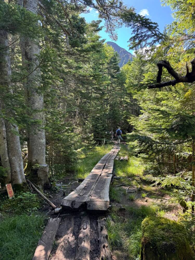 山頂からの眺めは360度絶景で山や湖沼の景色が広がる『日光白根山』