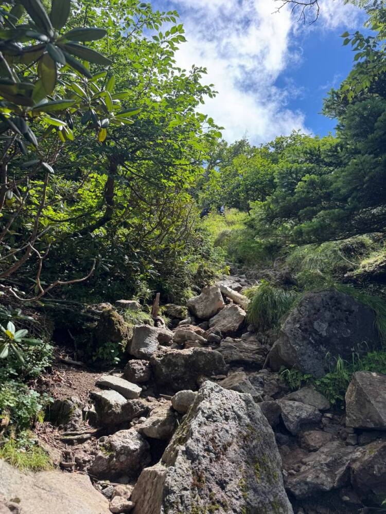 山頂からの眺めは360度絶景で山や湖沼の景色が広がる『日光白根山』