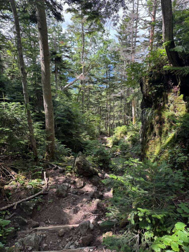 山頂からの眺めは360度絶景で山や湖沼の景色が広がる『日光白根山』