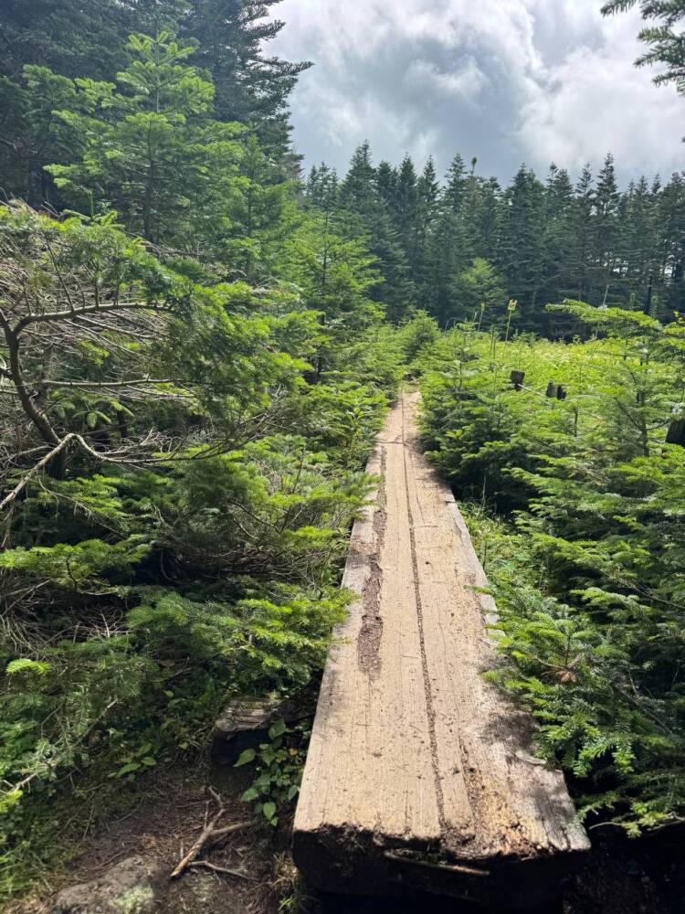 山頂からの眺めは360度絶景で山や湖沼の景色が広がる『日光白根山』
