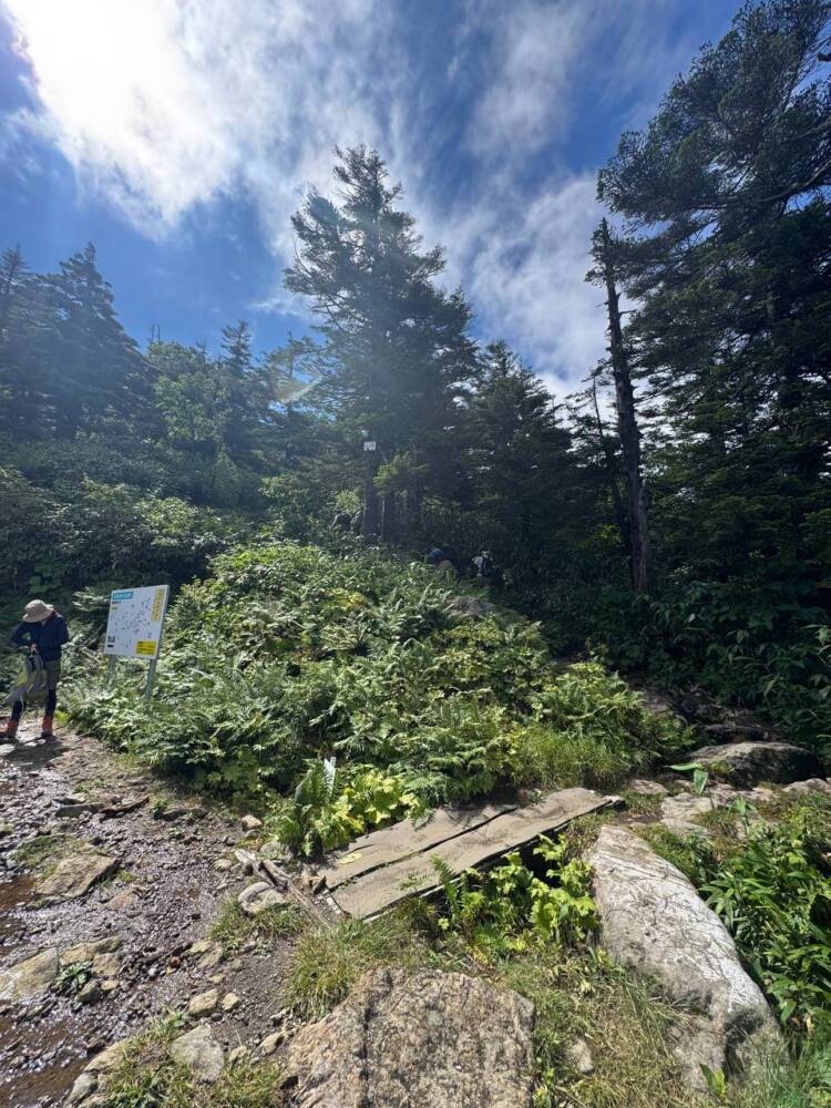 ロープウェイ、リフトを利用して吾妻山連峰の最高峰『西吾妻山』