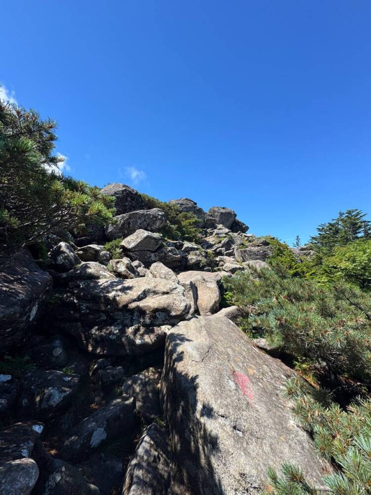 ロープウェイ、リフトを利用して吾妻山連峰の最高峰『西吾妻山』