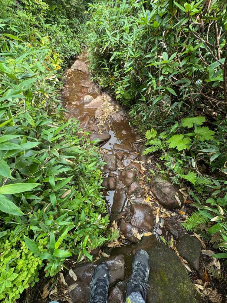 ロープウェイ、リフトを利用して吾妻山連峰の最高峰『西吾妻山』