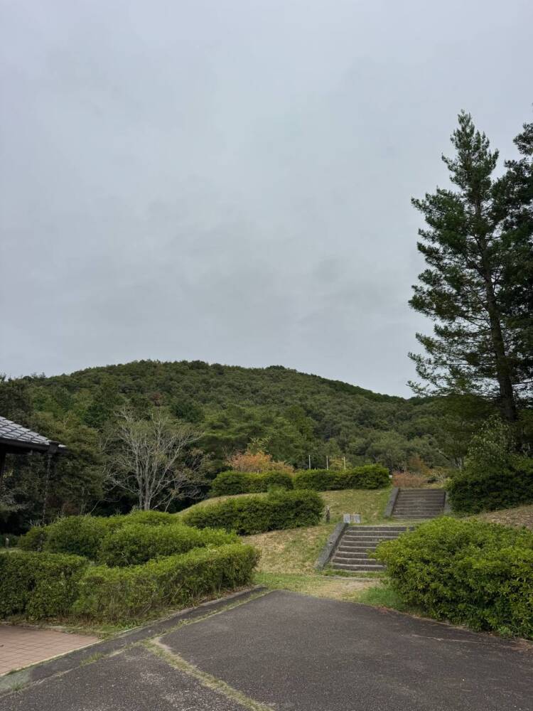 美しい山容でお手軽に登れて絶景が楽しめる『有馬富士』