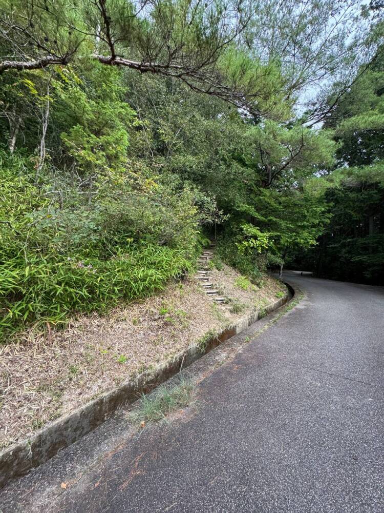 美しい山容でお手軽に登れて絶景が楽しめる『有馬富士』