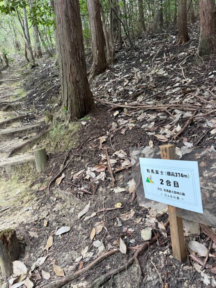 美しい山容でお手軽に登れて絶景が楽しめる『有馬富士』