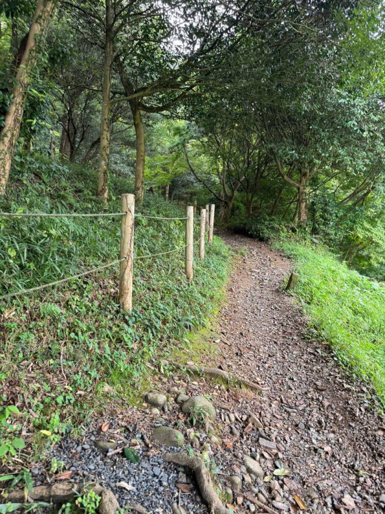 沢山の登山道、山頂からはアルプスの山も見れる地元に愛された山『鳩吹山』