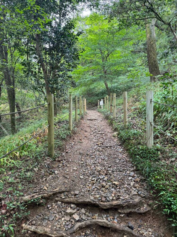 沢山の登山道、山頂からはアルプスの山も見れる地元に愛された山『鳩吹山』