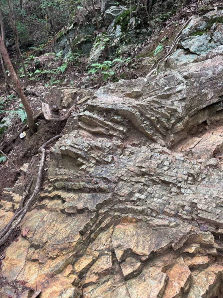 沢山の登山道、山頂からはアルプスの山も見れる地元に愛された山『鳩吹山』