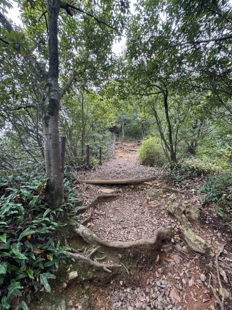 沢山の登山道、山頂からはアルプスの山も見れる地元に愛された山『鳩吹山』