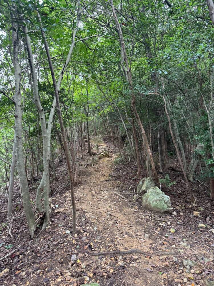 沢山の登山道、山頂からはアルプスの山も見れる地元に愛された山『鳩吹山』