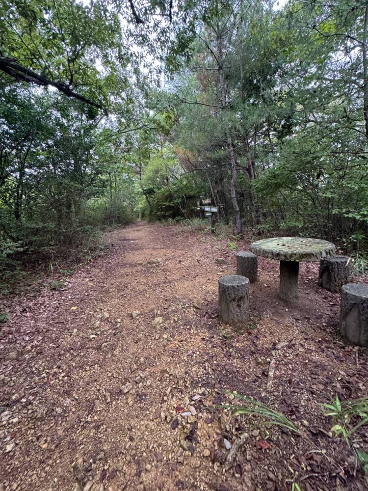 沢山の登山道、山頂からはアルプスの山も見れる地元に愛された山『鳩吹山』